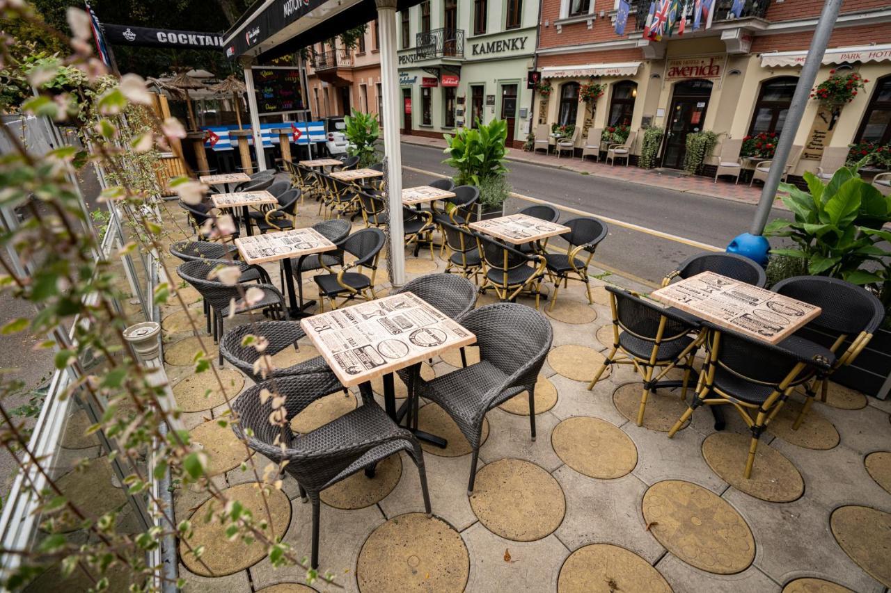 Avenida Park Hotel Teplice Exterior photo